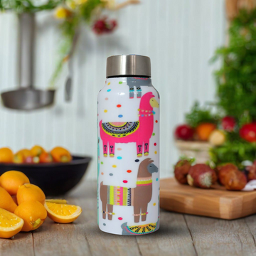 Handcrafted Eco-Friendly Meenakari Steel Bottle(750 ML)