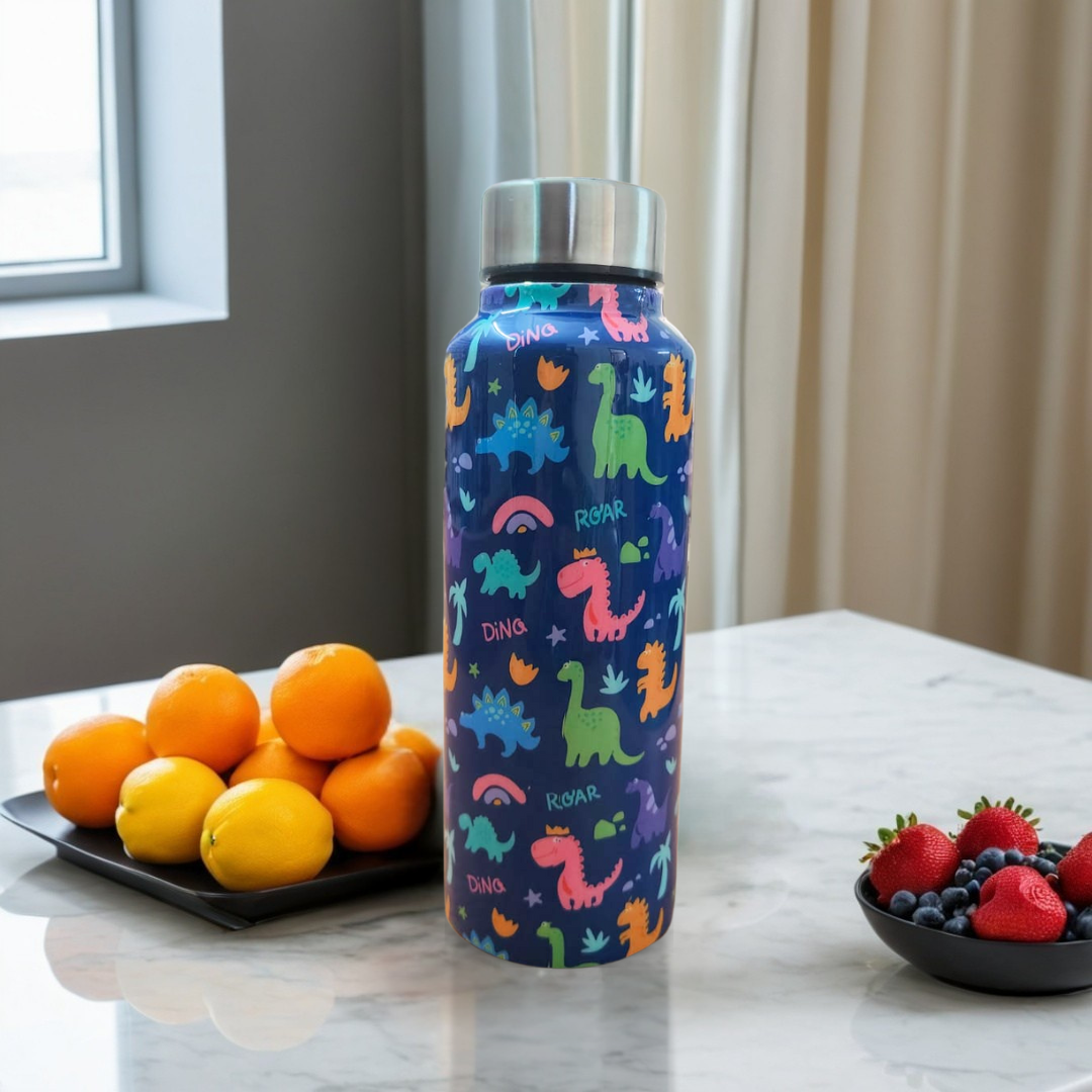 Handcrafted Eco-Friendly Meenakari Steel Bottle(750 ML)
